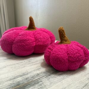 Vibrant Pink Plush Pumpkin Pillow Duo